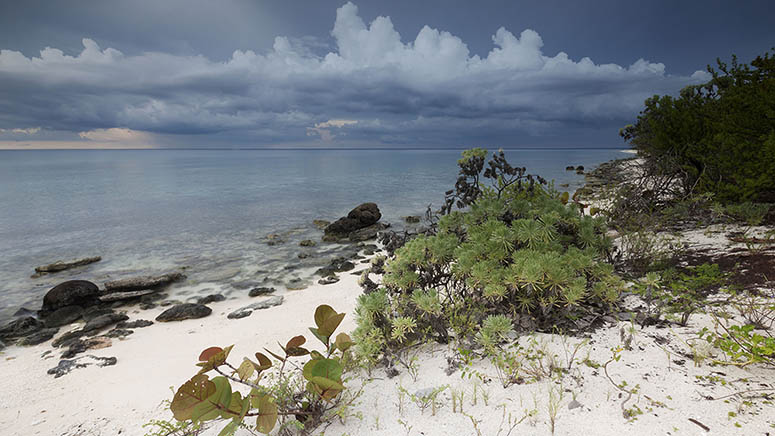 Gulf of Mexico Marine Protected Area Network