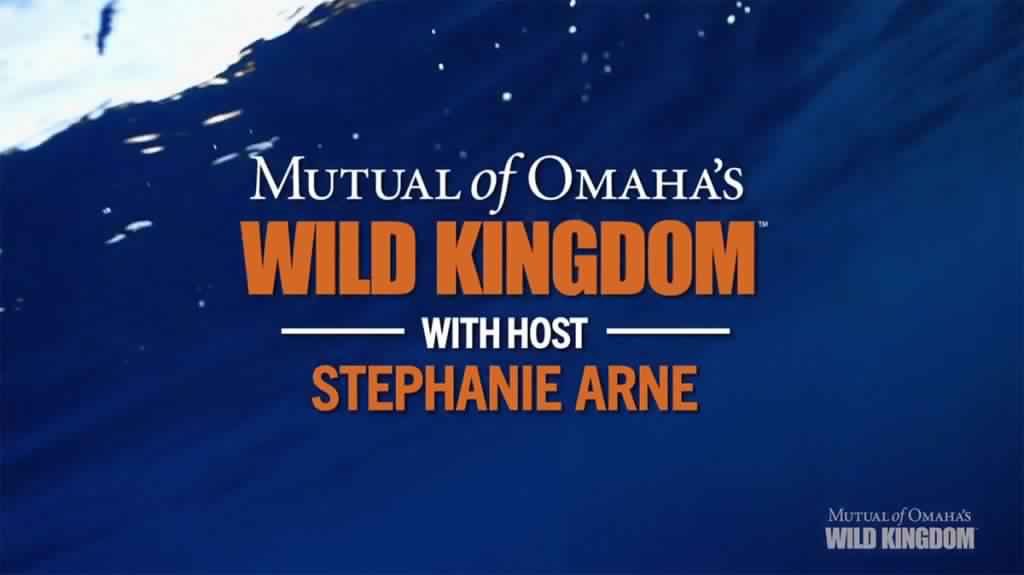 Mutual of Omahas Wild Kingdom