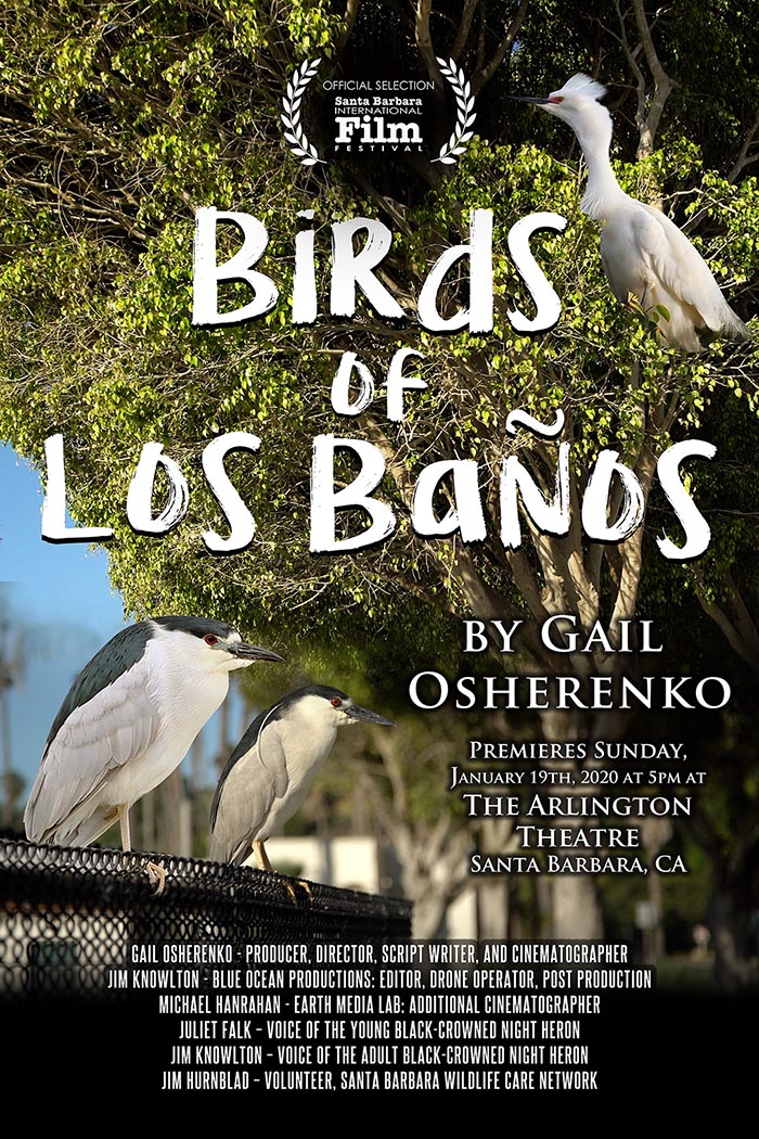 Birds of Los Baños